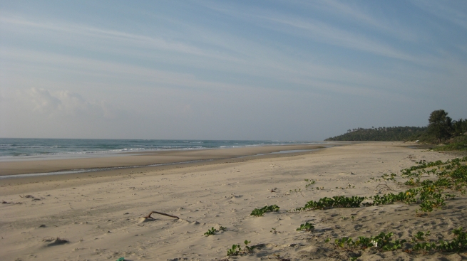 sylvia shoals beach